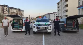 Doğubayazıt'ta Kaçak Avcılıkla Ele Geçirilen 240 Kilogram Kurbağa Doğaya Bırakıldı