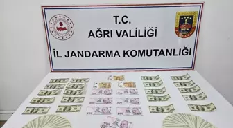 Ağrı'da Sahte Dolar ve Euro ile Yakalanan Şüpheli Gözaltına Alındı