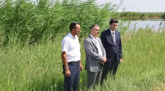 Iğdır'da Kuş Gözlem Turizmi İçin Sulak Alan Projeleri
