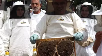 Ağrı'da Tescilli Geven Balı Hasadı Yapıldı