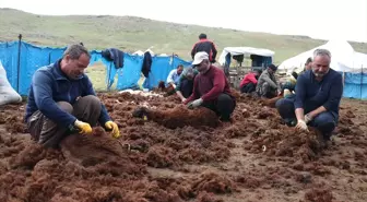 Ağrı Yaylalarında Göçer Ailelerin Dayanışması