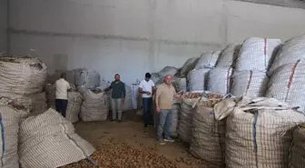 Ahlat'ta Çiftçiler Patates Destek Desteği Bekliyor