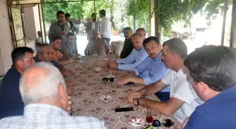 AK Parti Üyesi Hamza Dağ, Ödemiş'teki Yangın Bölgesini Ziyaret Etti