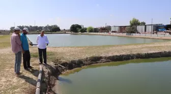 Hobisini Mesleğe Dönüştüren Girişimci: Kahraman Gündüz'ün Süs Balığı Başarısı