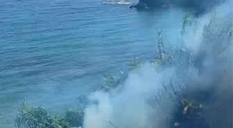 Alanya'da çıkan çalılık yangını söndürüldü