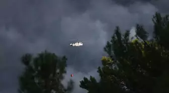 Alanya'daki Yangınlara Hızla Müdahale Edildi, Can Kaybı Yok