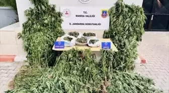 Manisa'da Uyuşturucu Operasyonu: 3 Gözaltı