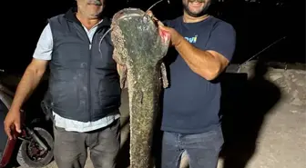 Almus Barajı'nda 153 Santimetre Uzunluğunda Yayın Balığı Yakalandı