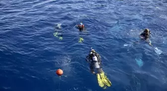 Altın Palet Sualtı Görüntüleme Türkiye Şampiyonası Fethiye'de Başladı