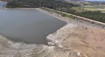 Edirne'deki Altınyazı Barajı, Çeltik Üreticilerinin Kurtarıcısı Oldu