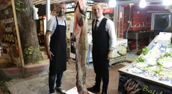 Amasya'da 78 Kilogramlık Yayın Balığı Yakalandı