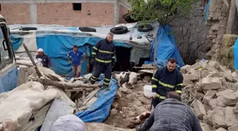 Amasya'da Çatısı Çöken Ahırda 2 Büyükbaş Hayvan Kurtarıldı