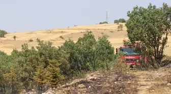 Amasya'da Orman Yangını: 2 Hektar Alan Zarar Gördü
