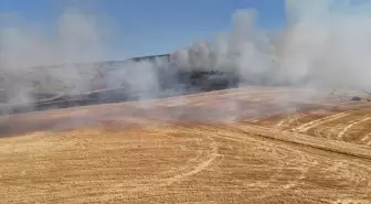 Amasya'da Tarım Arazisinde Çıkan Yangın Söndürüldü