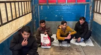 Amasya'da Düzensiz Göçmen Operasyonu: 4 Yakalandı