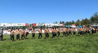 Suluova'da Yağlı Güreş Şenliği Gerçekleşti