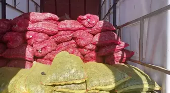 Sakarya'da Kaçak Avlanan 5,4 Ton Midye Ele Geçirildi
