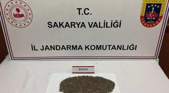 Anadolu Otoyolu'nda Uyuşturucu Operasyonu: 1 Tutuklama