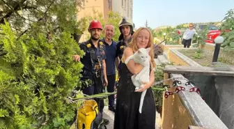 Havalandırma Boşluğuna Düşen Kedi İtfaiye Ekiplerince Kurtarıldı
