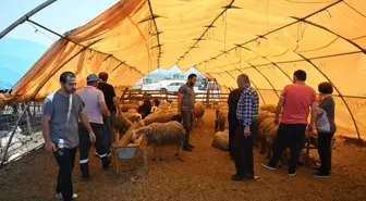 Kurban Bayramı'nda Kesimhaneler ve Pazarlar Yoğun