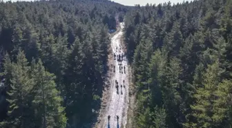 Ankara'da ormanlara giriş yasaklandı
