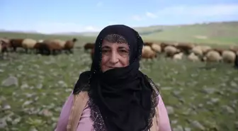 Kız ve Anne, Devlet Desteğiyle Hayvancılığa Yöneldi