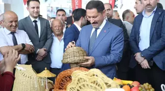 Hatay'da Hayat Boyu Öğrenme Haftası Etkinlikleri