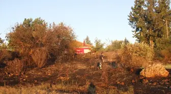 Aspendos Antik Kenti Yakınında Yangın Söndürüldü