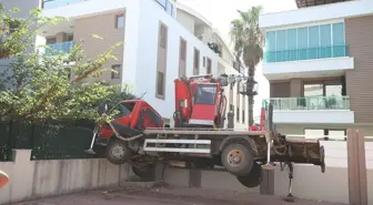 Antalya'da Bahçıvan Palmiye Ağacında Mahsur Kaldı