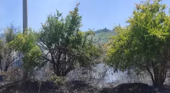 Antalya'da Çalılık Alanda Başlayan Yangın Nar Bahçesine Sıçradı