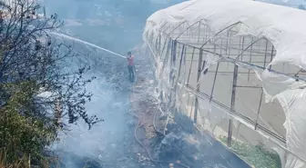 Antalya'da Çalılık Alanda Çıkan Yangın Seralara Sıçradı