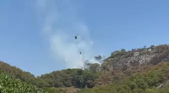 Antalya Gazipaşa'da Orman Yangını Söndürüldü