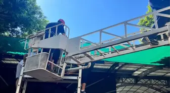 Antalya'da Dengesini Kaybeden Genç Adam Tentelere Düştü