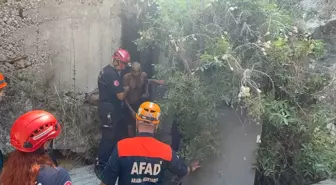 Falezlerden Düşen Kişi Kurtarıldı