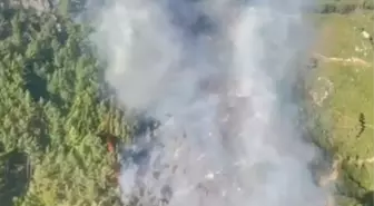 Antalya'da Orman Yangınına Hava ve Karadan Müdahele