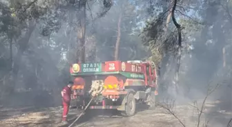 Antalya'da Orman Yangınları: Ekipler Havadan ve Karadan Müdahale Ediyor