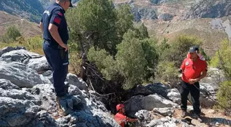 Antalya'da Kaybolan Alzheimer Hastası Kadın İçin Arama Çalışmaları Başlatıldı