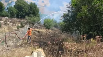 Antalya'da Orman Yangınına Hızla Müdahale Ediliyor