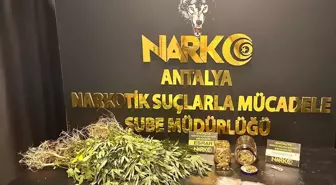 Antalya'da Narkotik Operasyonları: 32 Şüpheli Yakalandı