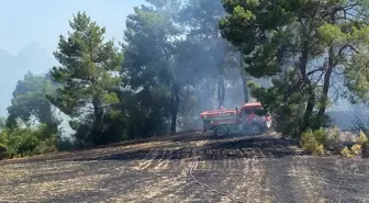 Antalya'nın Serik İlçesinde Orman Yangını Kontrol Altına Alındı