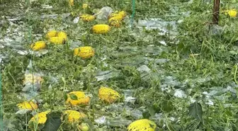 Antalya'da Sağanak ve Dolu Tarım Alanlarında Zarar Yaratıyor