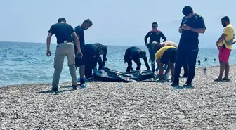 Antalya'da Kıyıda Erkek Cesedi Bulundu