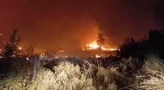Antalya'da Tarım Arazisinde Çıkan Yangın Kontrol Altına Alındı