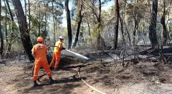 Antalya'da Orman Yangını: 5 Dekar Alan Zarar Gördü