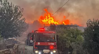 Alanya'da Orman Yangınına Müdahale Devam Ediyor