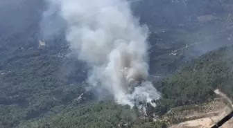 Antalya'da Orman Yangınına Hava ve Karadan Müdahale
