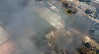 Antalya'da Sazlık Alanda Çıkan Yangın Korkutuyor