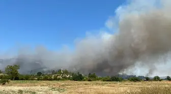 Antalya'da Orman Yangınına Havan ve Karadan Müdahale