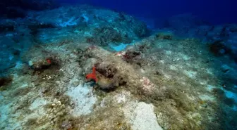 Kaş'taki Besmi Adası'nda Antik Gemi Batığına Dalış Heyecanı