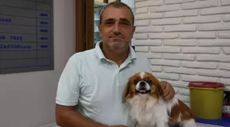 Lucky, 8 Aylık Tedavi Sonrası Yürümeye Başladı